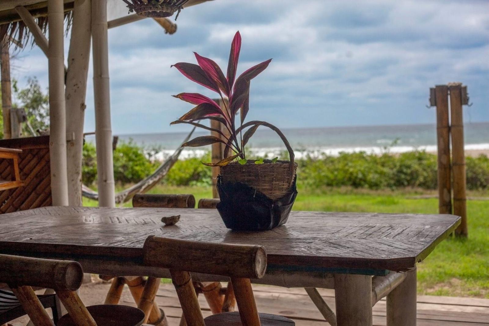 Kamala Surf & Backpacker Hostel Montanita Ngoại thất bức ảnh
